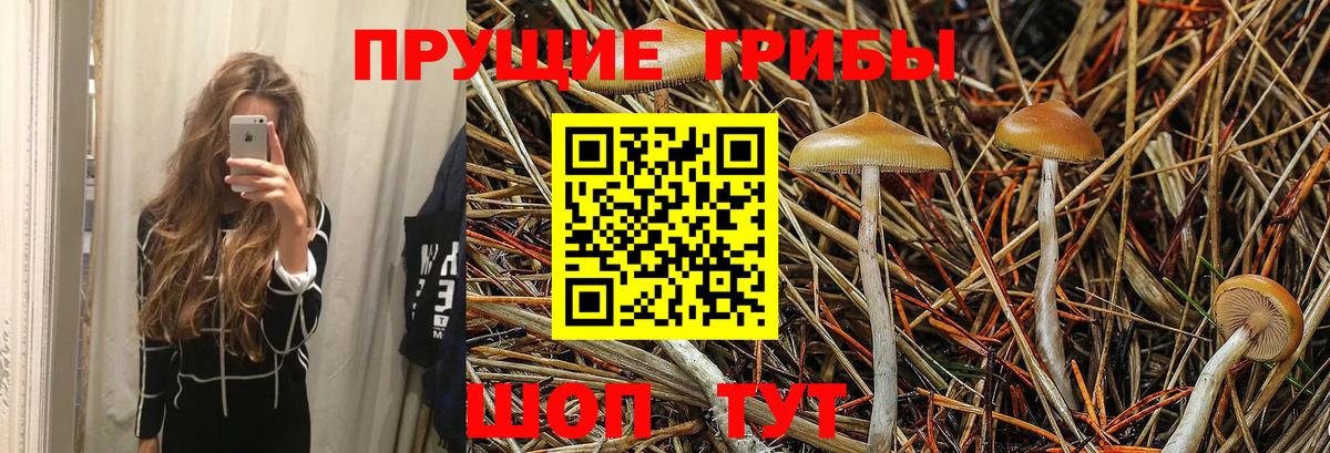 Галлюциногенные грибы Magic Shrooms  Вход с VPN  Шали 