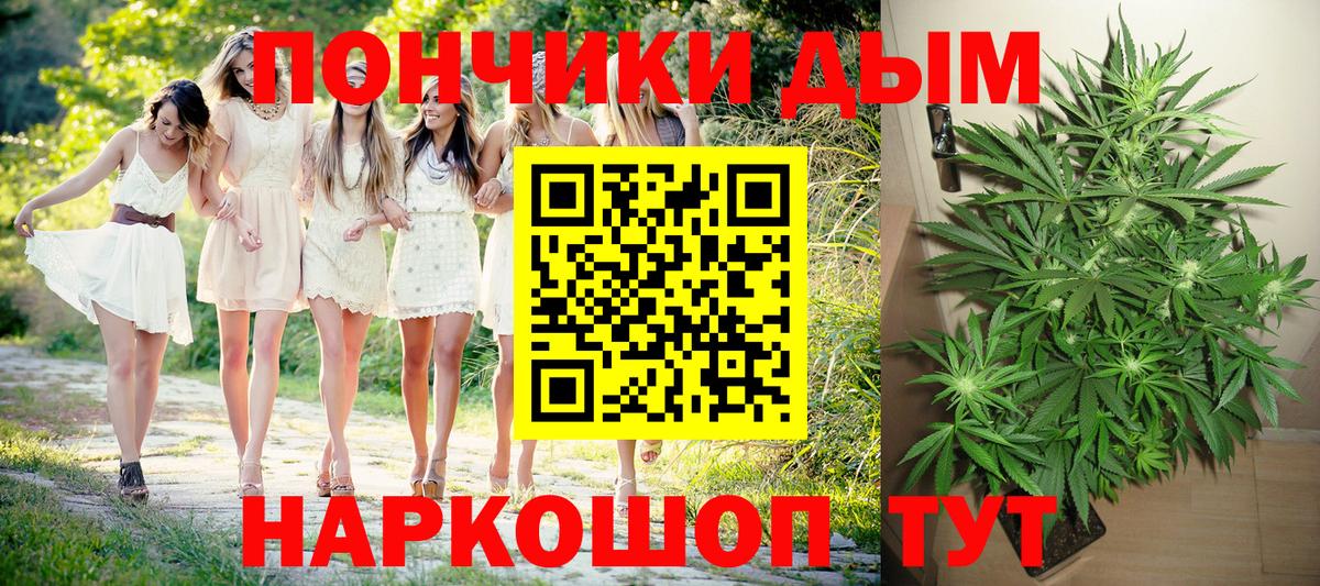 Конопля план Шали